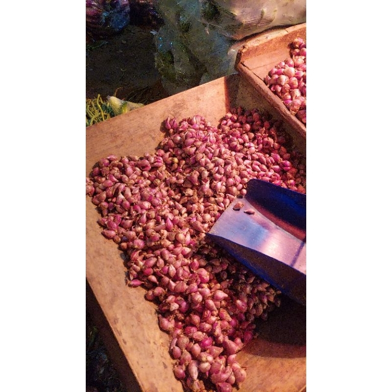 

bawang merah brebes