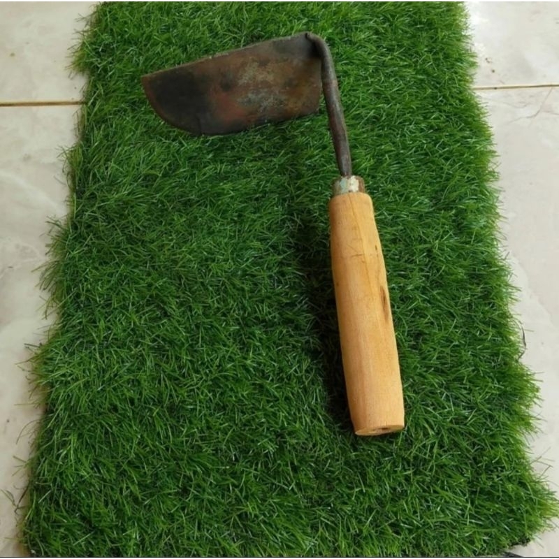 kored rumput wangkil taman