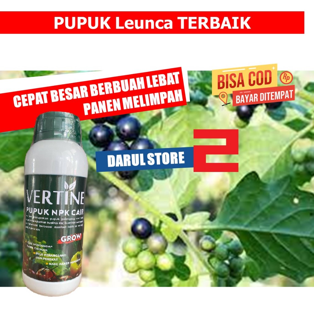 PUPUK NPK LEUNCA VERTINE AJAIB CEPAT BESAR - OBAT SEMPROT Pelebat Buah Leunca Cepat Berbuah Memperba
