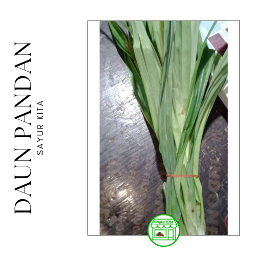 

Daun Pandan 1 ikat