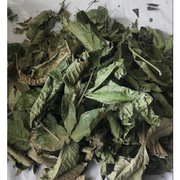 

Daun Kisampang Kering / Daun Ki sampang Kering Alami