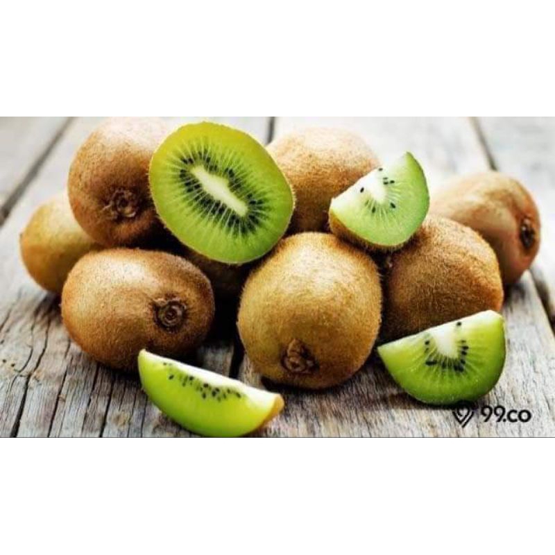 BIBIT BUAH KIWI HASIL OKULASI