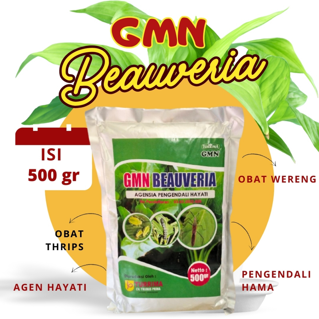 Insektisida Untuk Wereng, Insektisida Khusus Wereng, Beauveria Agen Hayati