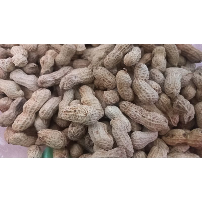 

Kacang kulit oven 1kg