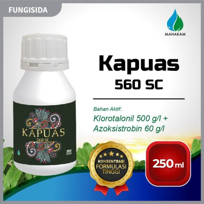 FUNGISIDA KAPUAS 560 SC - 100 ML
