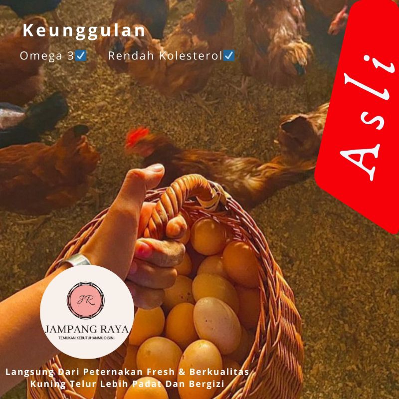 

Telur / Telor Ayam Kampung Sueger Poll Asli
