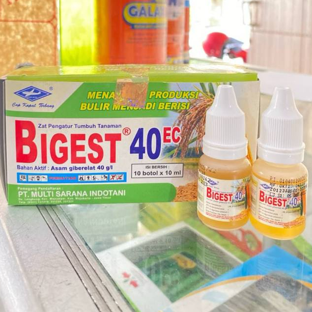 BIGEST 10 ML ZAT PENGATUR TUMBUH / BIGEST 10ML ZPT ORIGINAL