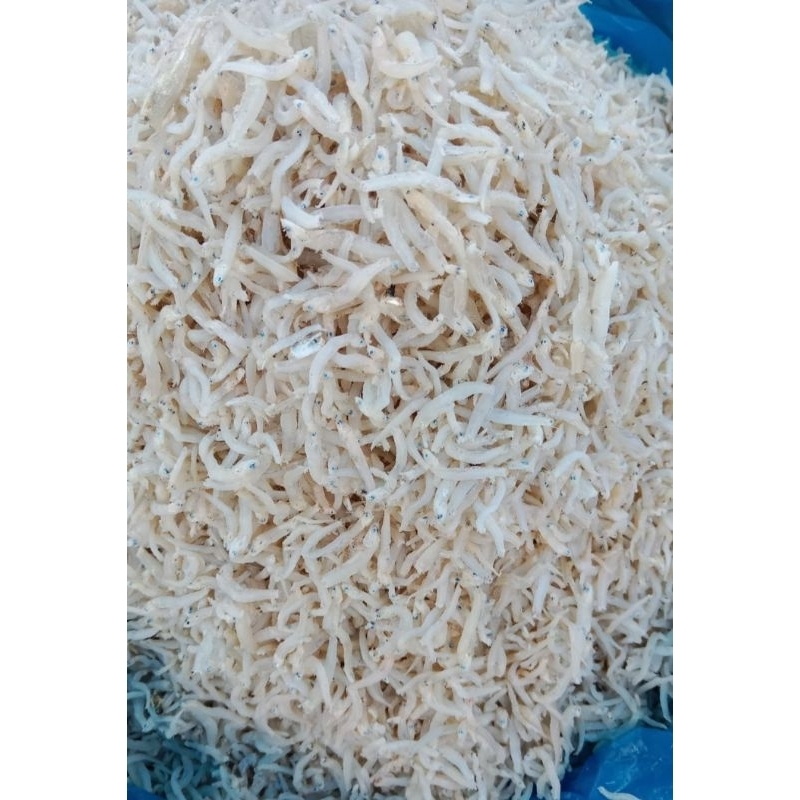 

ikan teri khas Medan Murah dan berkualitas