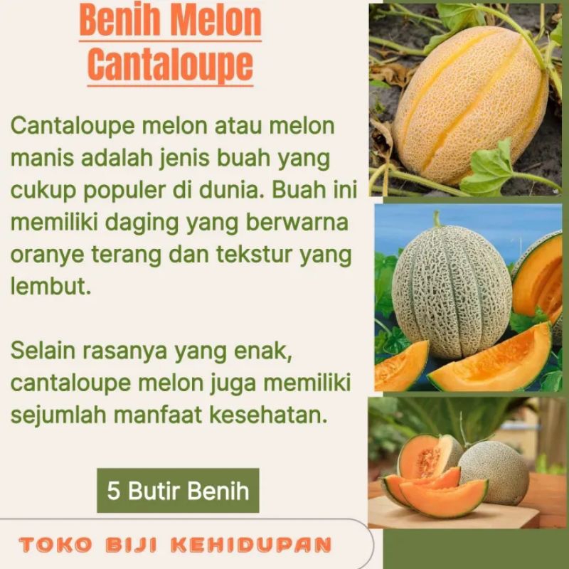 5 BIJI / BENIH MELON CANTALOUPE (REPACK)