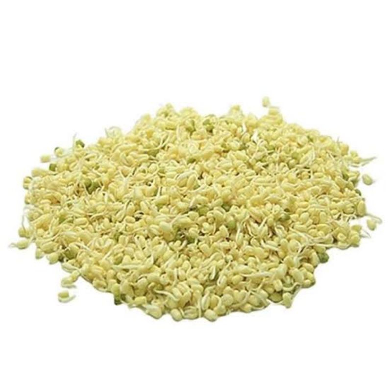 

Tauge Pendek / Rawon 500 gr