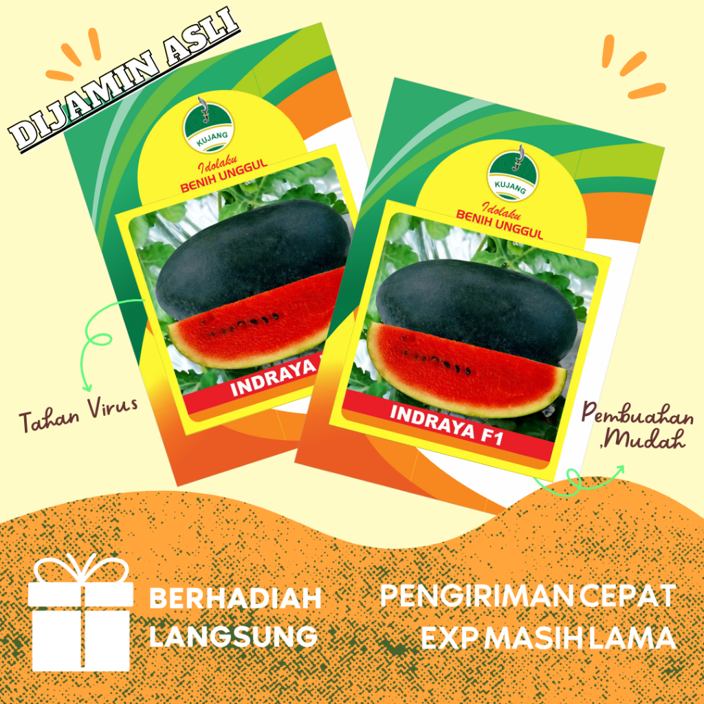Benih semangka inul merah Indraya F1 Cap Kujang isi 75 biji