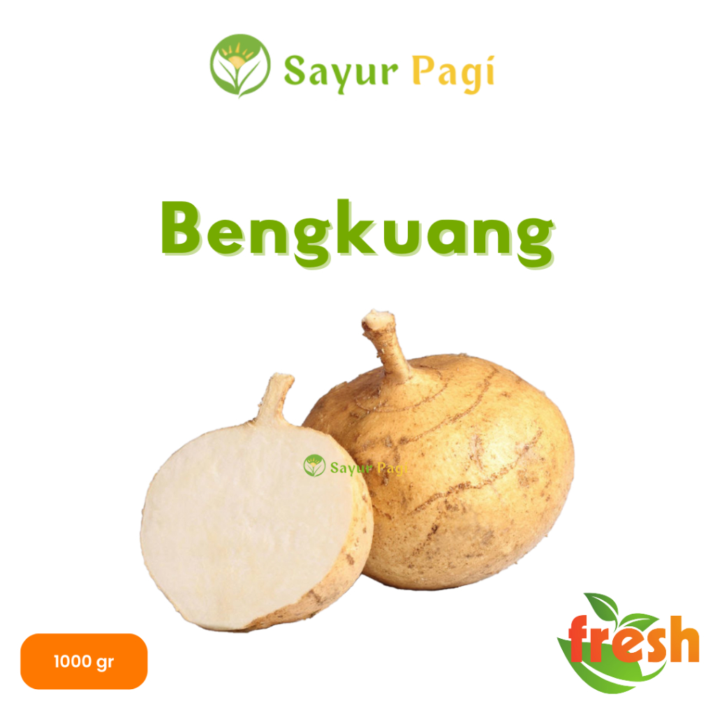 

Sayur Segar Bengkuang - Sayur Pagi Online