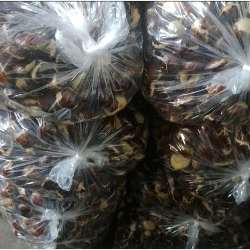 

Jengkol tua