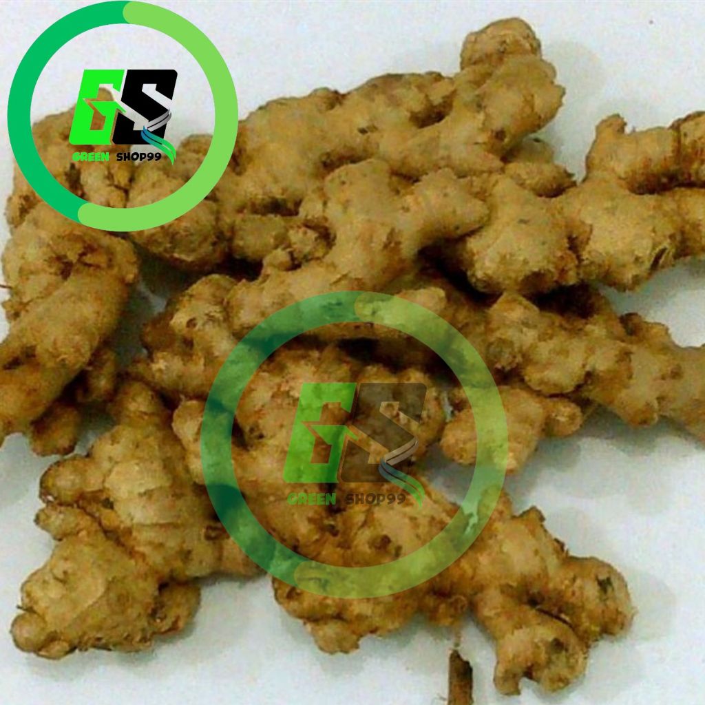 

Jahe segar 500 gram