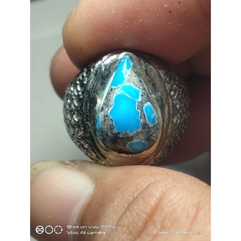 pirus biru ceplok