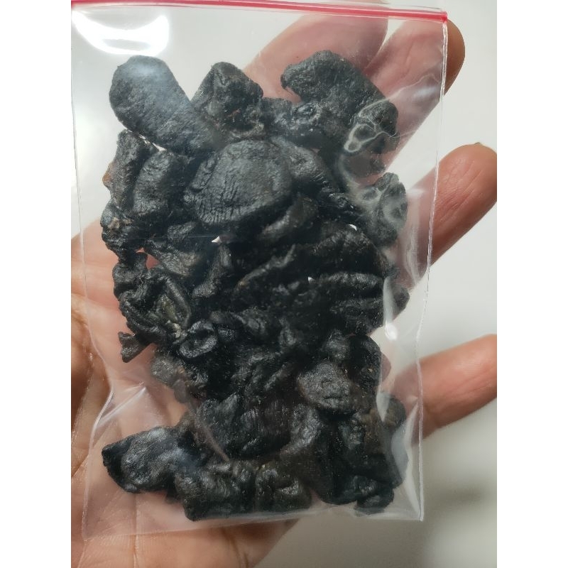 Mpot ayam hitam Isi lebih 50-60 UtuH