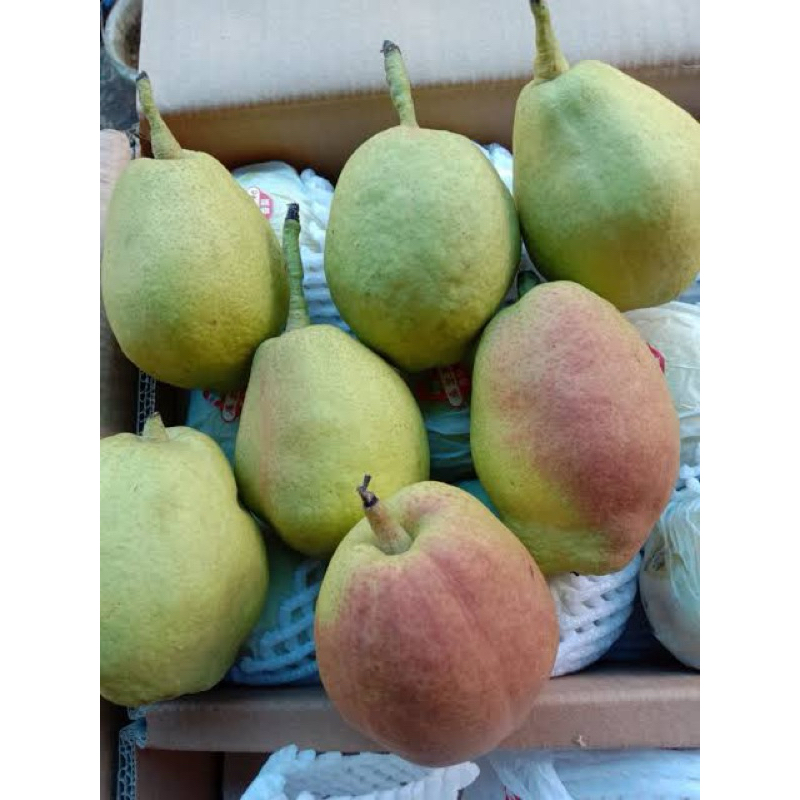 Pear Xianglie madu | Pear madu maniss | Buah segar | GBMfresh