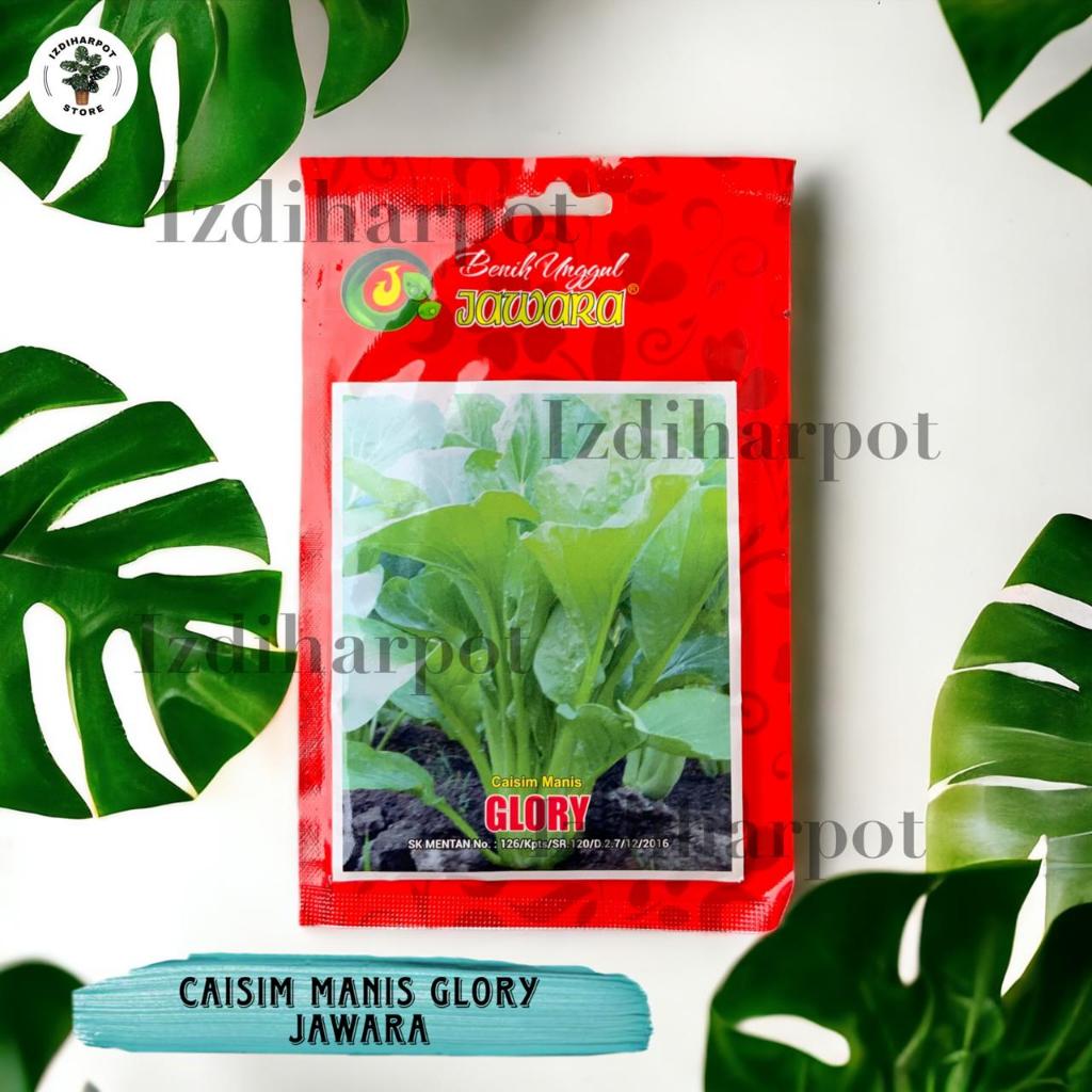 Benih Bibit Caisim Manis Glory Benih Unggul Jawara - CAISIM MANIS GLORY