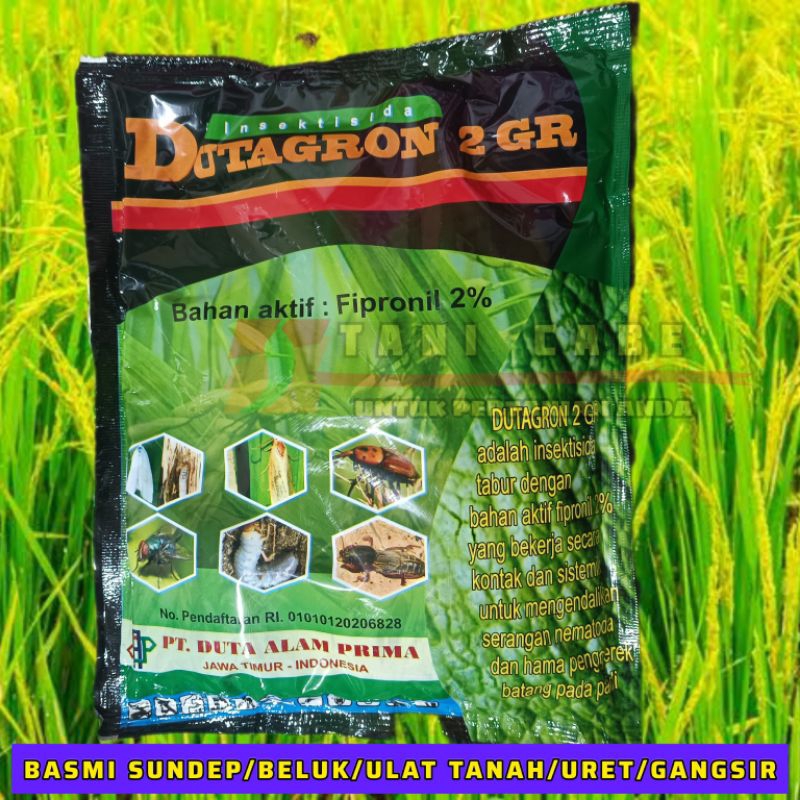 INSEKTISIDA DUTAGRON FIPRONIL 1 KG BASMI ulat tanah dan sundep