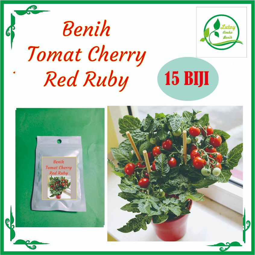 BENIH TOMAT CHERRY RED RUBY ISI 15 BIJI