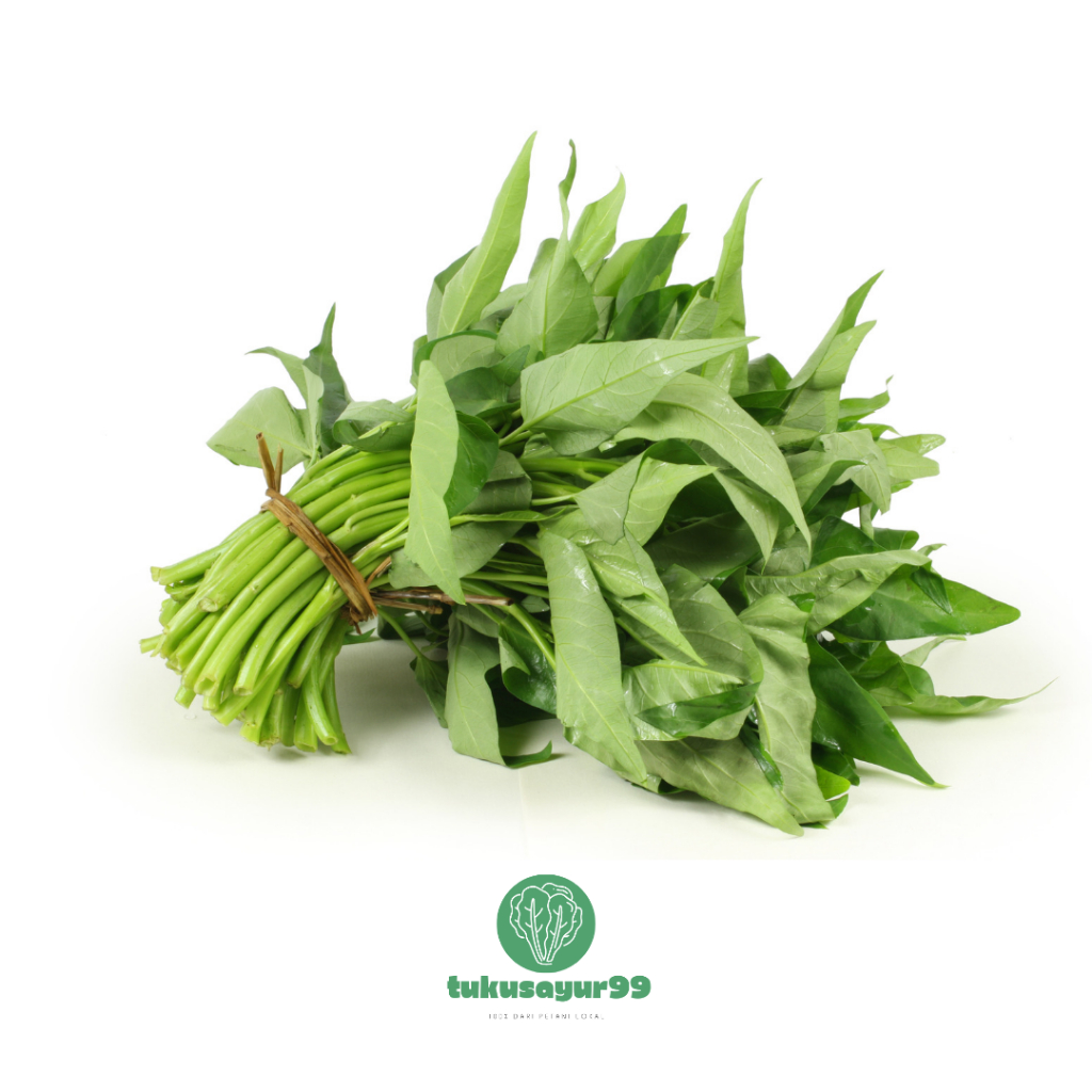 

Grosir Hemat Kangkung Segar Lokal Kualitas Terbaik