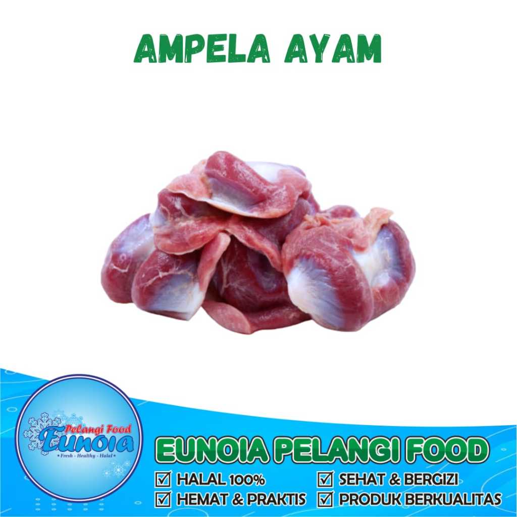 

Ampela Ayam