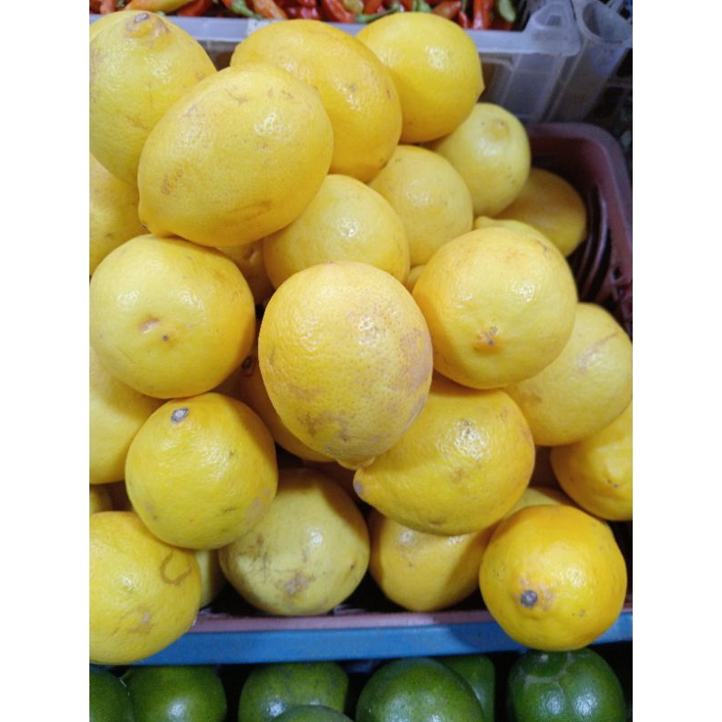 

lemon lokal/lemon kuning/buahfresh99