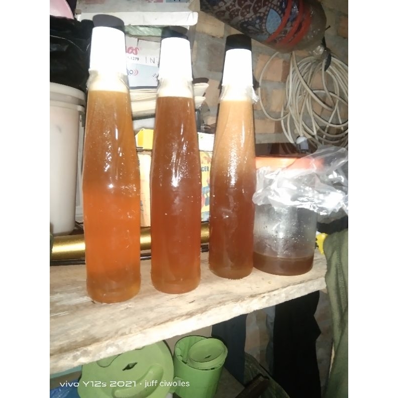 

madu.kelanceng/kelulut.asli.yg mau order silakan selagi ada setok nya