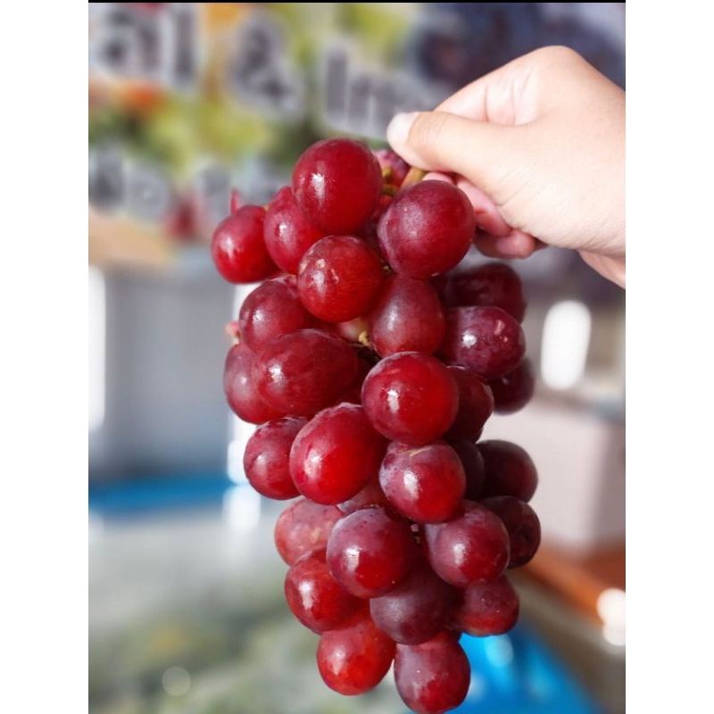 

Buah anggur red peru | anggur peru | anggur red peru non biji