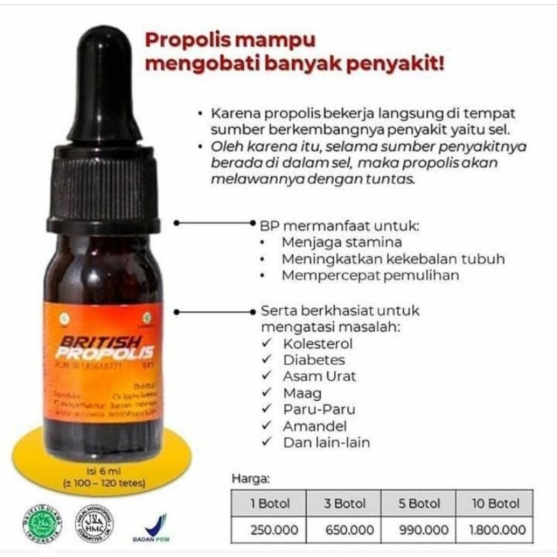 

BRITISH PROPOLIS PROPOLIS ORIGINAL 100 OBAT HERBAL DIABETES ASAM URAT KOLESTROL BY IPPHO SANTOSA