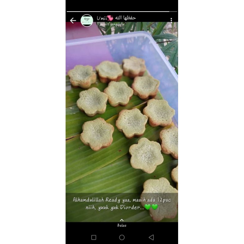 

Kemojo Mini by @bolukemojoummi