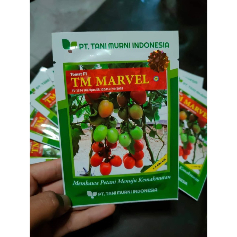 Benih bibit Tomat Hibrida TM MARVEL F1 10 gram 3000 butir