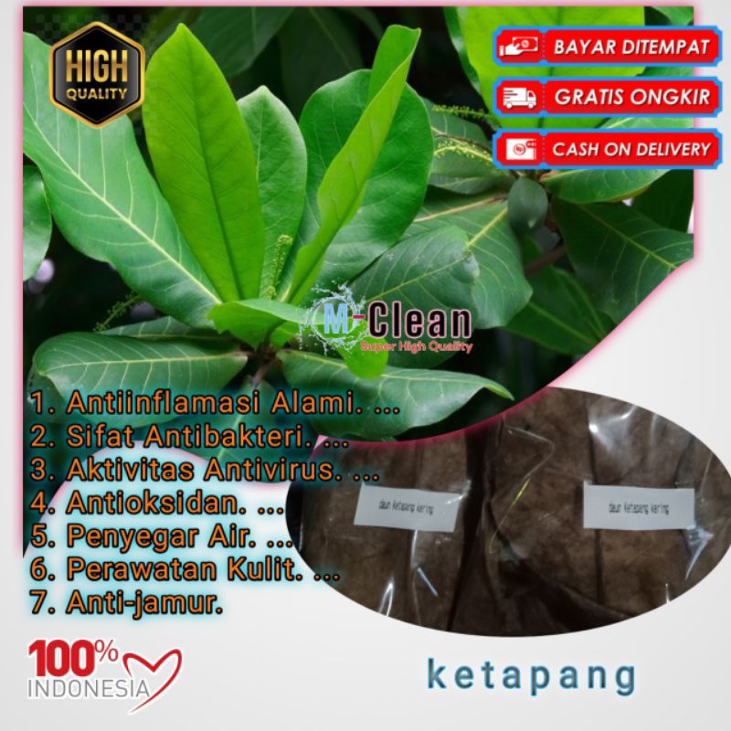 

daun ketapang kering 1kg