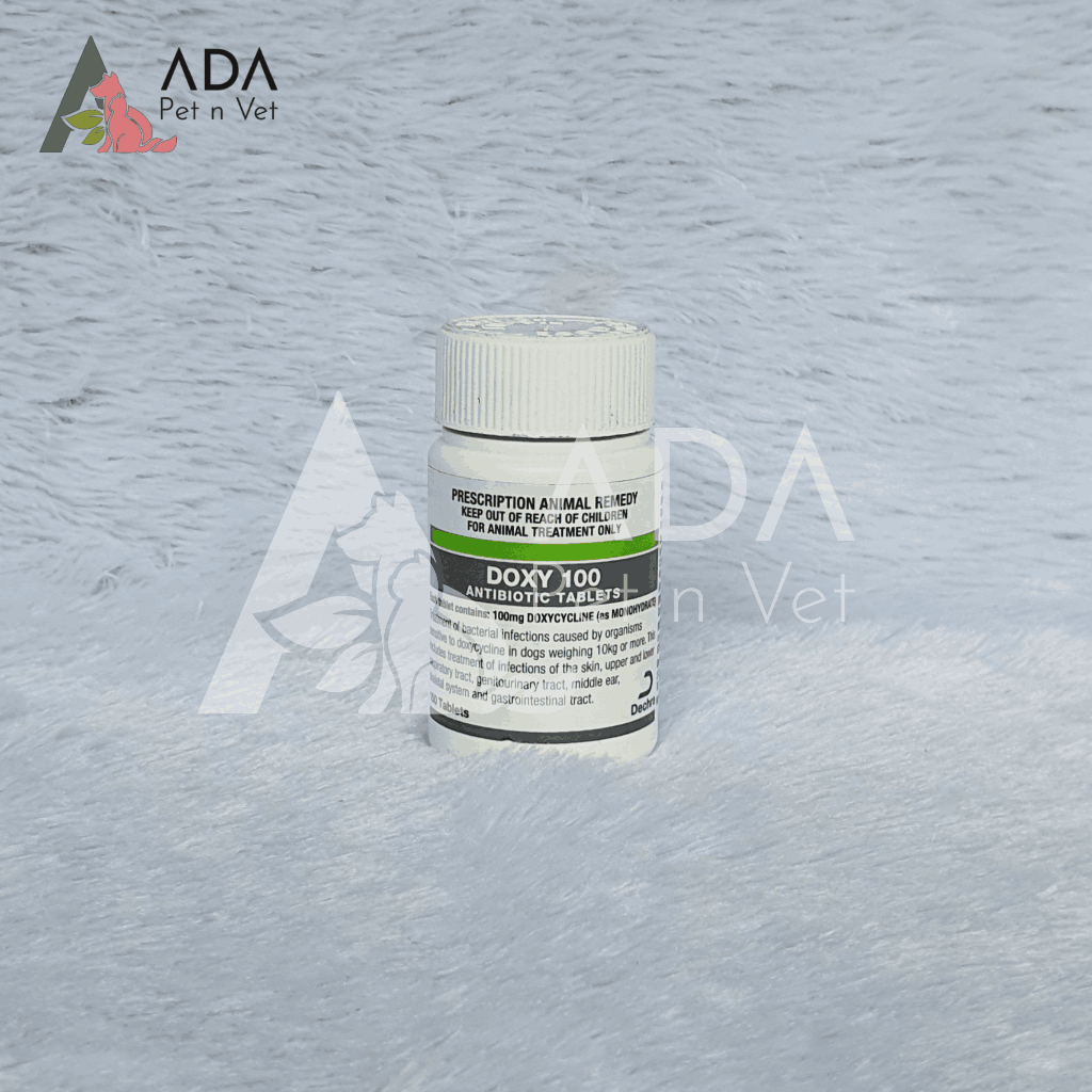 Doxy 100mg Antibiotik Anjing Kucing (1 Tablet)