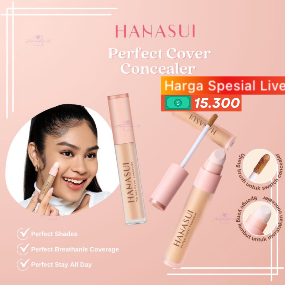 ART X8J GET 1 GIFT HANASUI Perfect Cover Concealer  Hanasui Concealer