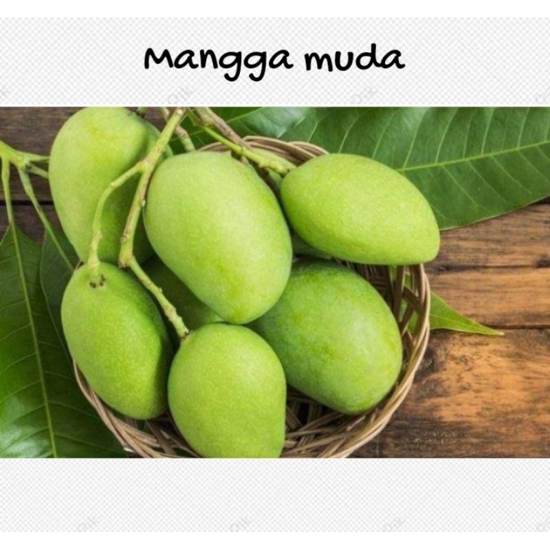 

Mangga muda 500 gram mangga muda setengah kilo