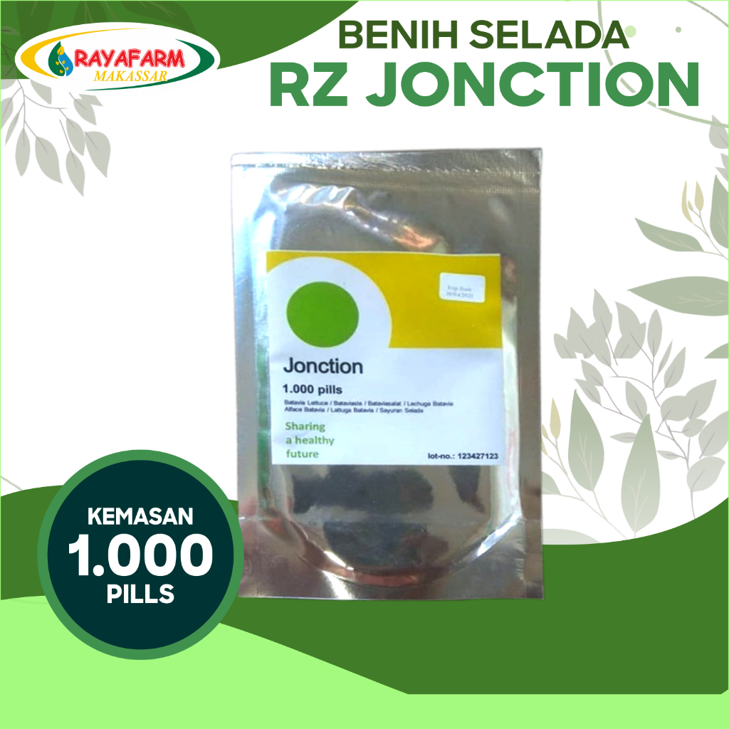 Benih Bibit selada jonction @ 1000 pill - RZ