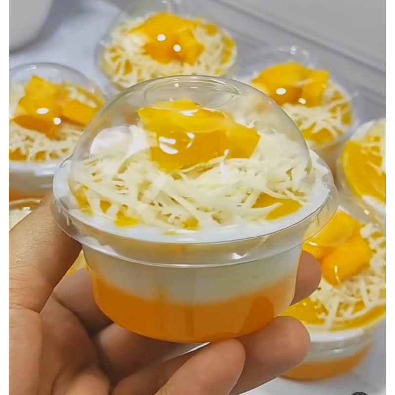 Isi 100 Cup Ice Cream Puding Bebek 90ml Tutup + Dome Cembung