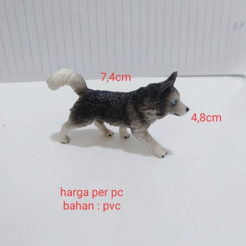 Miniatur Anak Anjing Siberian Husky