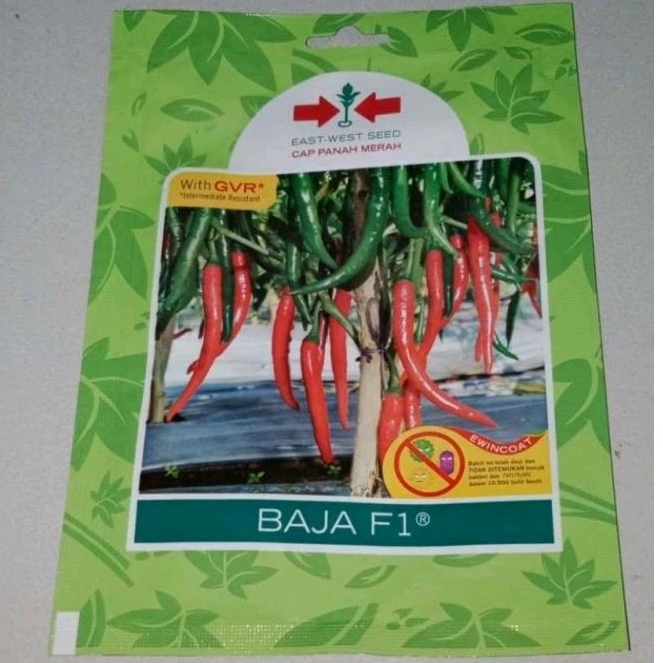 

Benih Cabai Baja F1 (Cocok ditanam di dataran rendah sampai menengah) Expayed. 2025 (Baru Panjang) isi 1500 butir, Benih Berkwlitas Cap Panah Merah