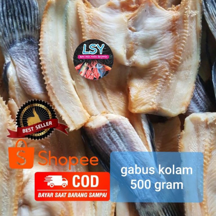 

Swip up ikan asin gabus kolam size besar 5gr