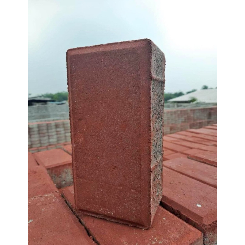 Paving Block - Bata Warna