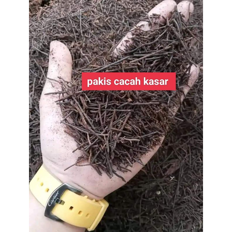 Pakis (cacah kasar)satu karung ukuran karung 25kg siap pakai.