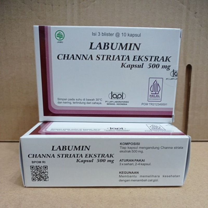 labumin Channa striata ekstrak ikan gabus 1 box 30 kapsul