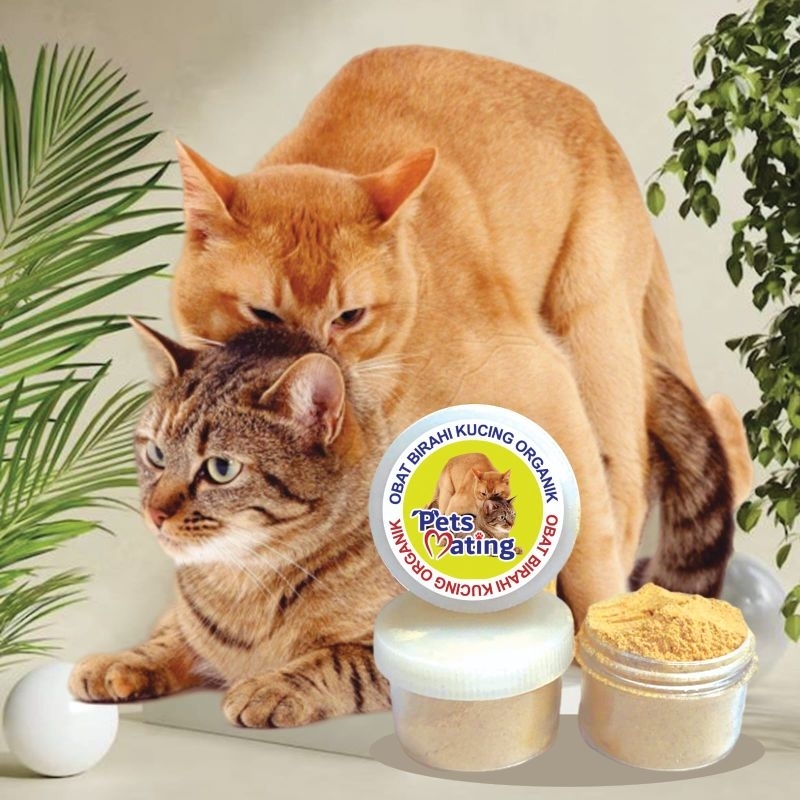 MATING - Obat Birahi Kucing Jantan Betina Perangsang Ovulasi Memperbanyak Anak Kitten Menyuburkan Ka