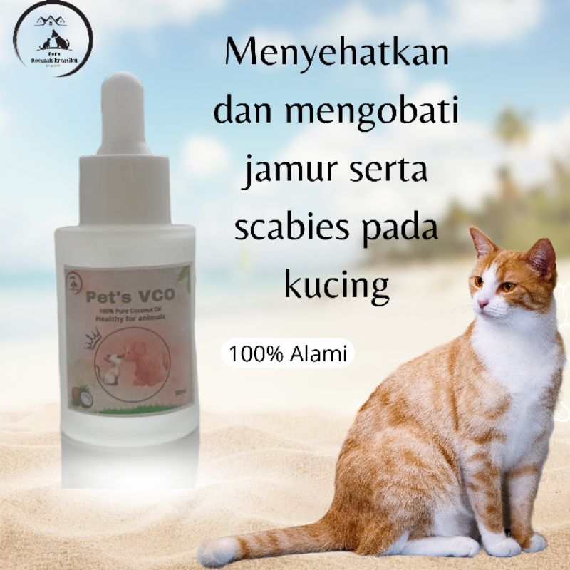 VCO#minyak kelapa murni untuk kucing#minyak kelapa bening 100% untuk hewan