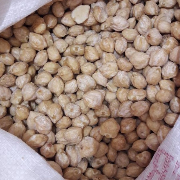 

PENJUALAN CEPATBEST SELLER Biji Kemiri Bulat 1kg 5gr