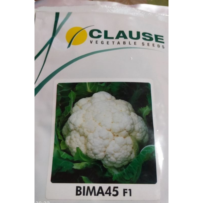 BIMA 45 FI Bibit kembang kol