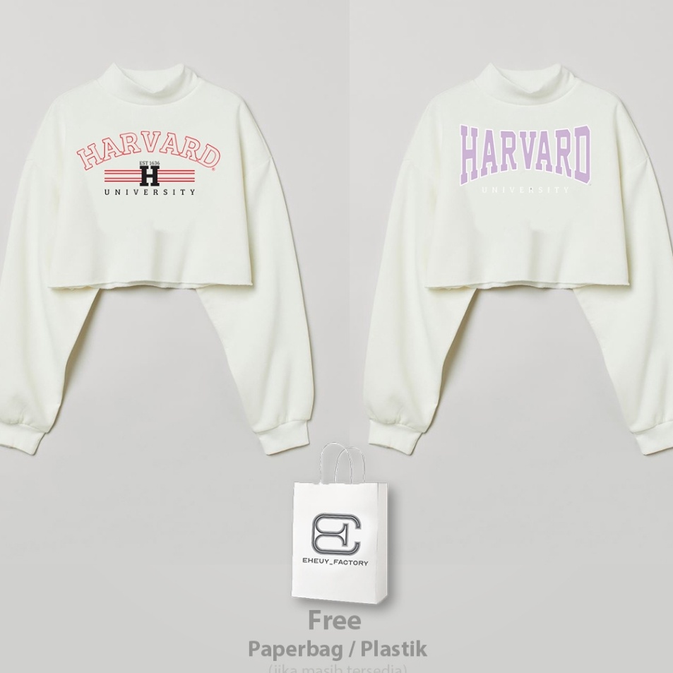 Serba Serbu  Crewneck Crop HM Original HARVARD UNIVERSITY Broken White Sweater Crop Wanita Korean St