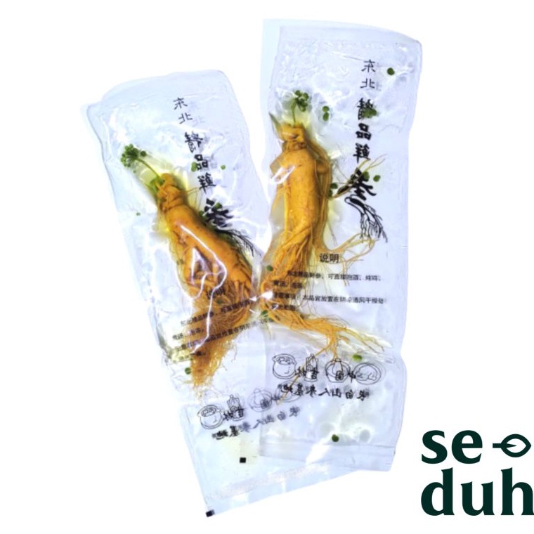 

BEST SELLER Ginseng Segar ukuran besar 2 gram Fresh Ginseng root vacuum pack